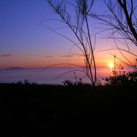 Levolle Marine Otel Poggio Mezzana Dış mekan fotoğraf