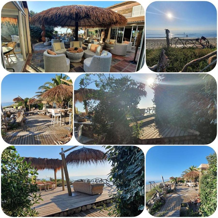 Levolle Marine Otel Poggio Mezzana Dış mekan fotoğraf